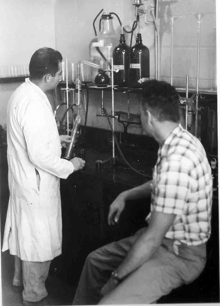 1960 Lab DAurizio (1)